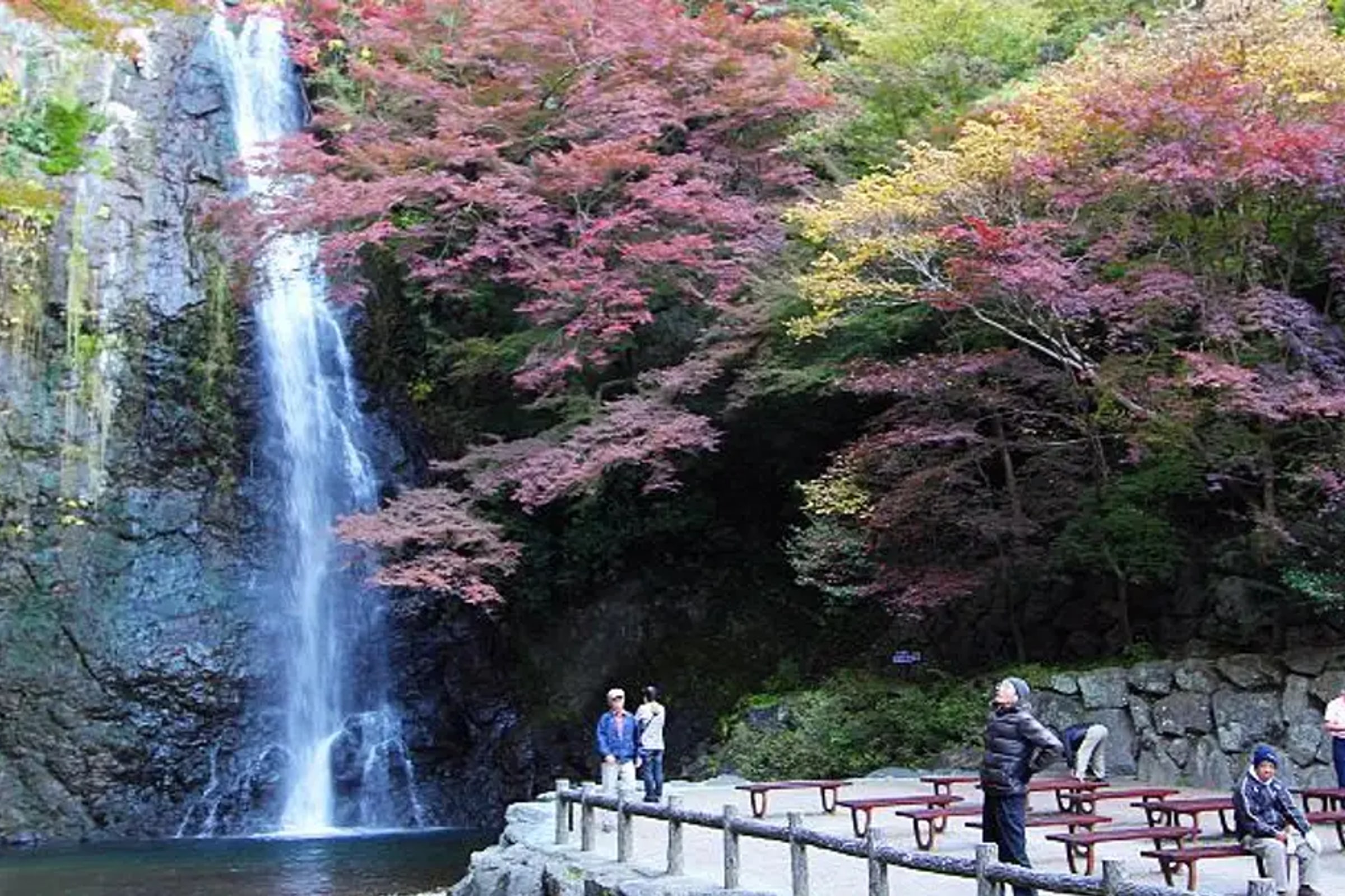 Minoh Waterfall and nature walk through the Minoh Park